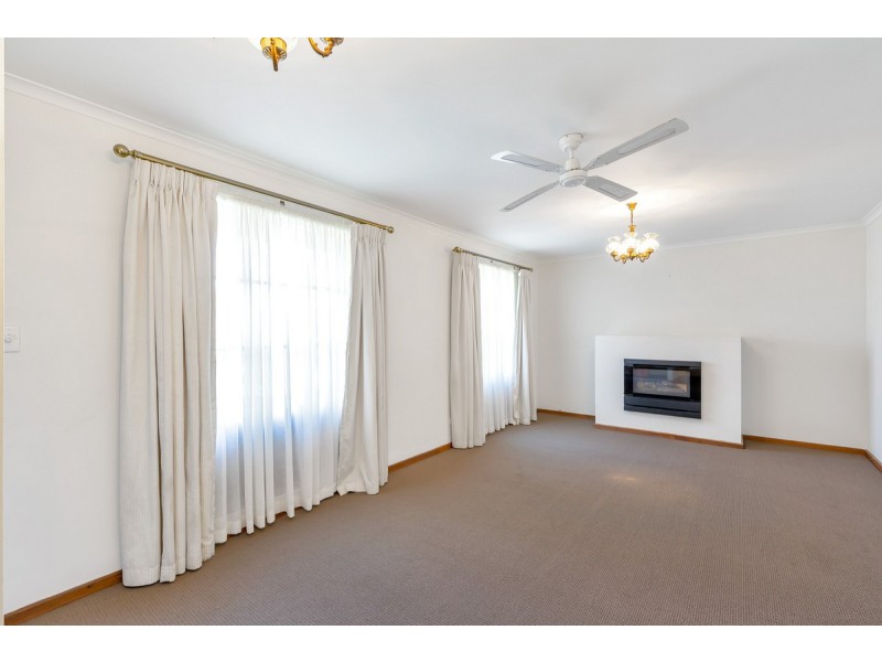 16 Lincoln Road, Paradise SA 5075