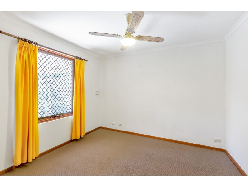 16 Lincoln Road, Paradise SA 5075