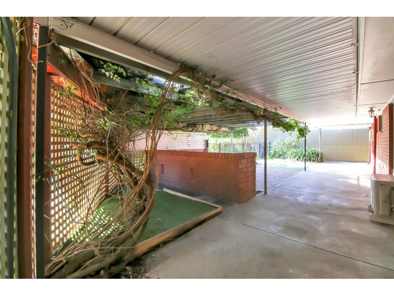 16 Lincoln Road, Paradise SA 5075