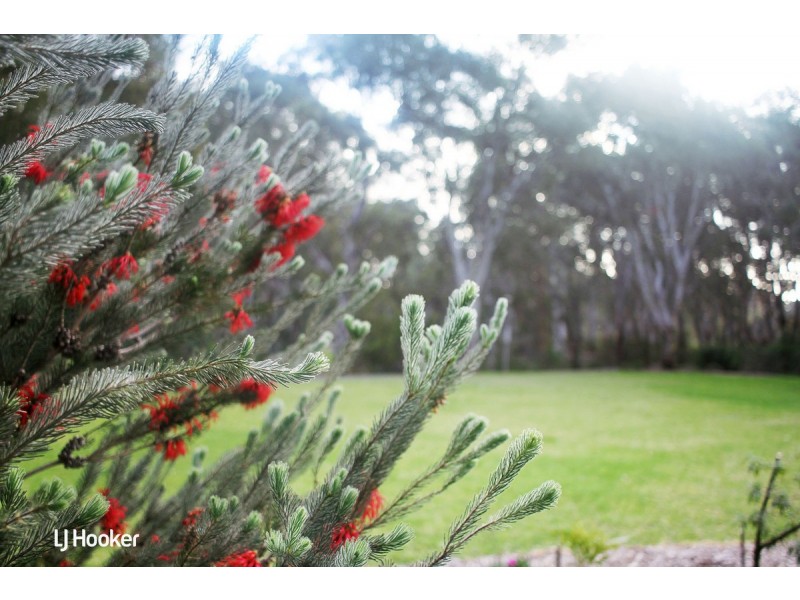 15 Ridgefield Avenue, Dernancourt SA 5075