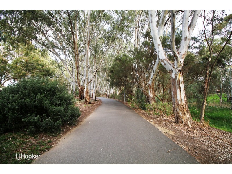 15 Ridgefield Avenue, Dernancourt SA 5075