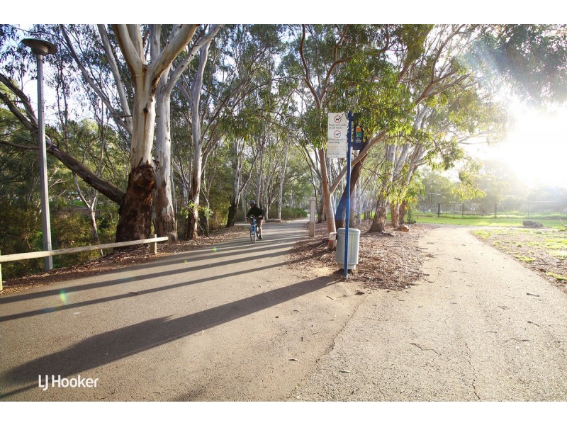 15 Ridgefield Avenue, Dernancourt SA 5075