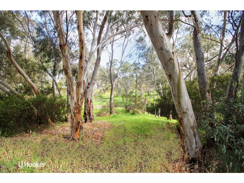 134 Reservoir Road, Modbury SA 5092