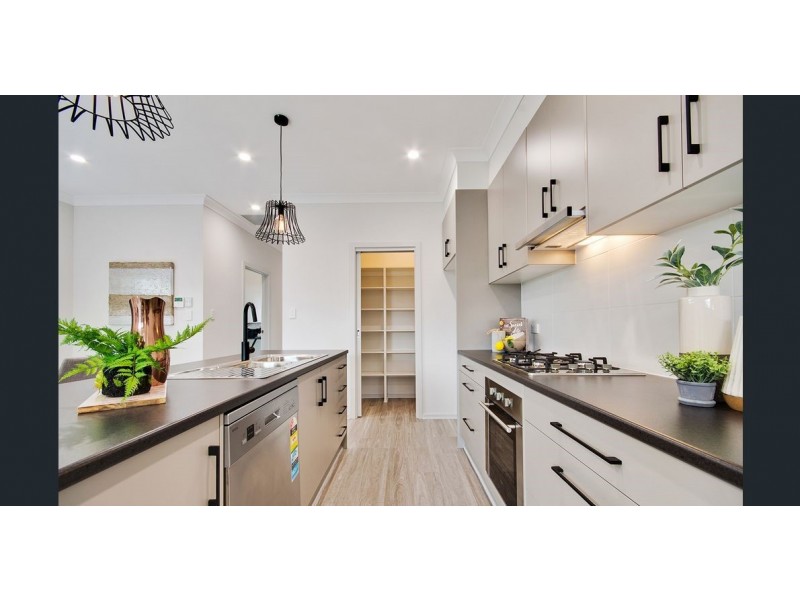 6a Faehse Street, Modbury SA 5092