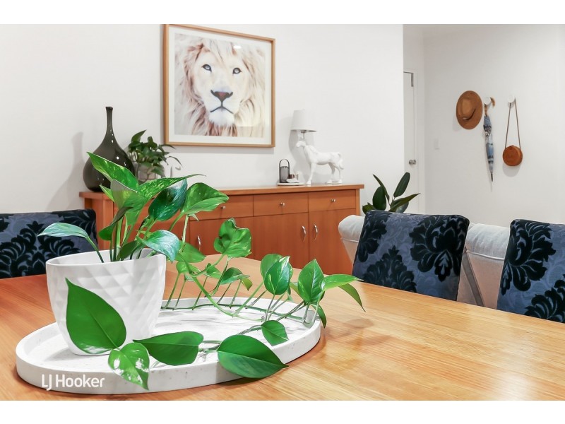 3/13 Uxbridge Street, Kensington Park SA 5068