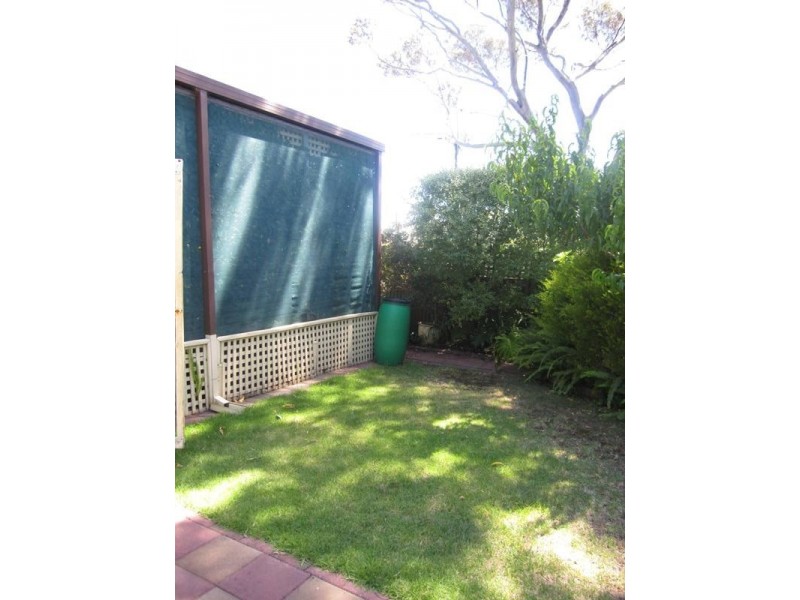 25 Eve Street, Hectorville SA 5073