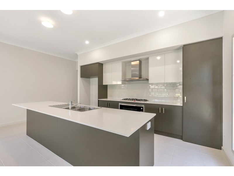 169a Marian Road, Firle SA 5070