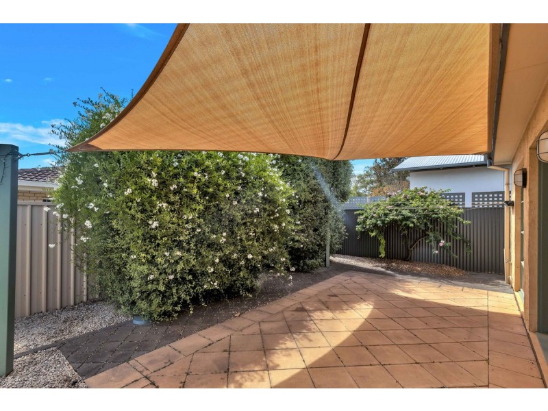 26 Fisher Street, Fullarton SA 5063