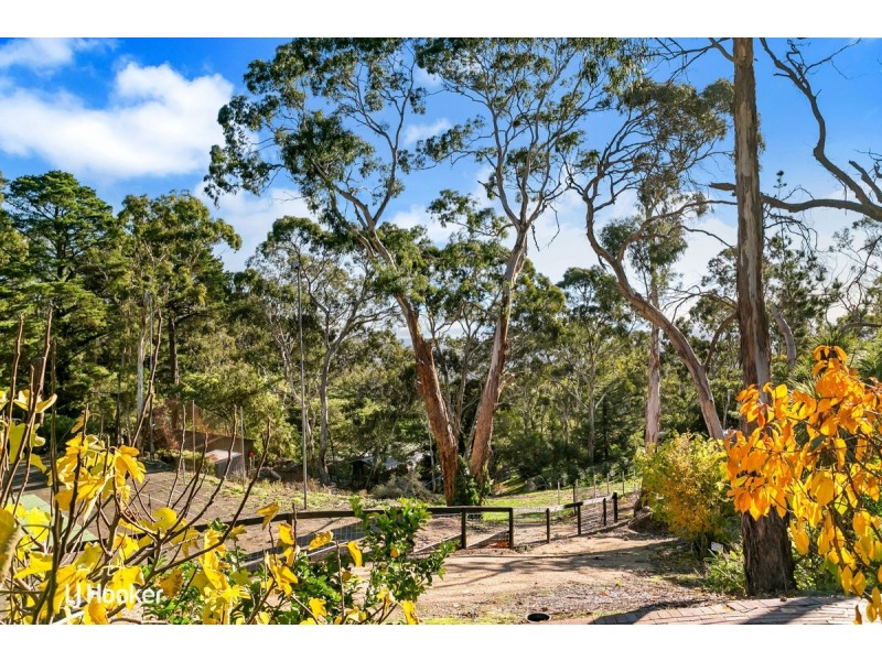 117 Woodland Way, Teringie SA 5072