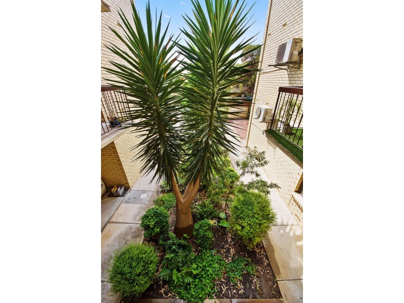 8/6 Albert Street, Payneham SA 5070