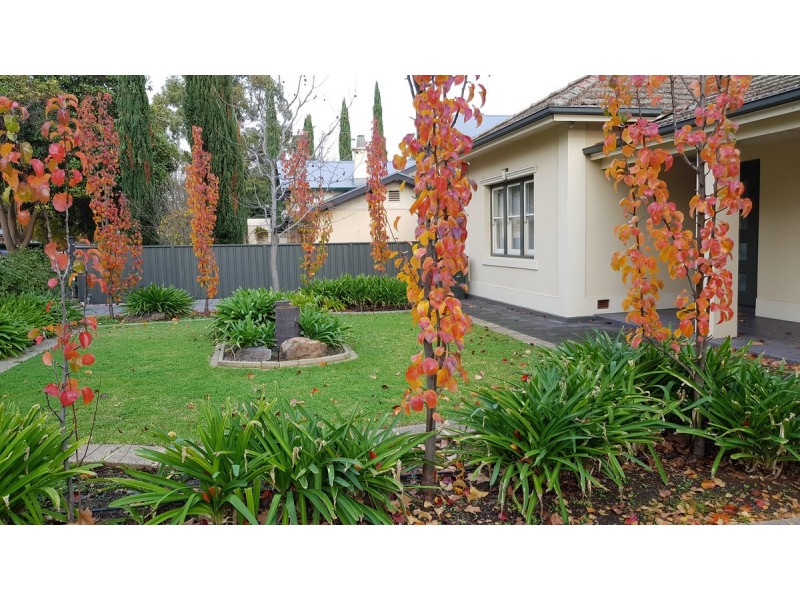 110 Sixth Avenue, Joslin SA 5070