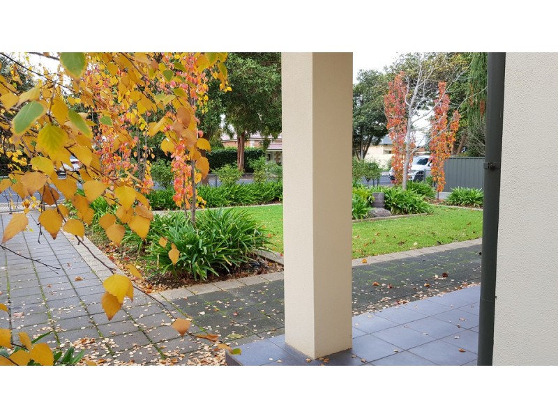 110 Sixth Avenue, Joslin SA 5070