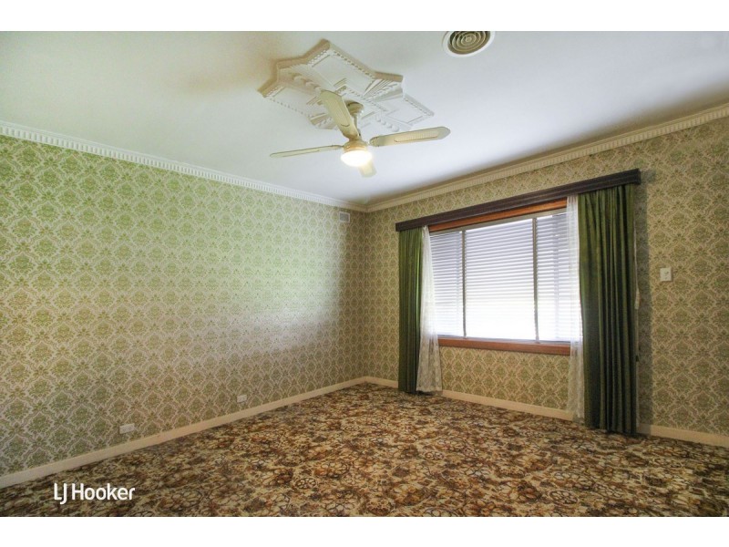 19 Reid Avenue, Hectorville SA 5073