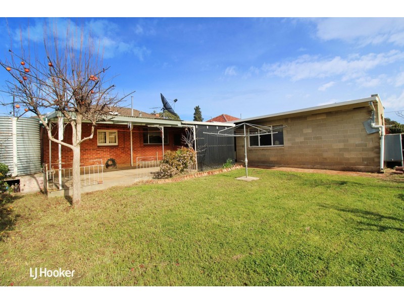 19 Reid Avenue, Hectorville SA 5073