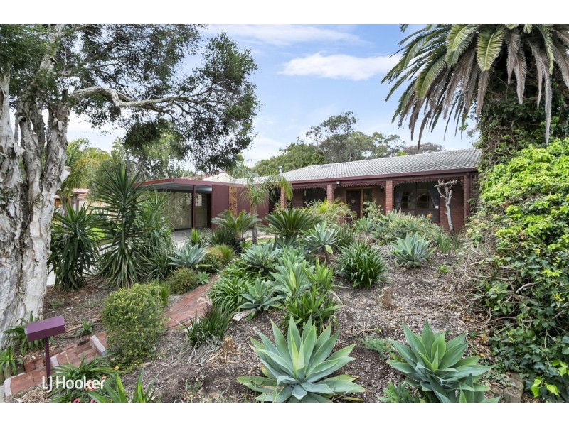 6 Donaldson Drive, Paradise SA 5075