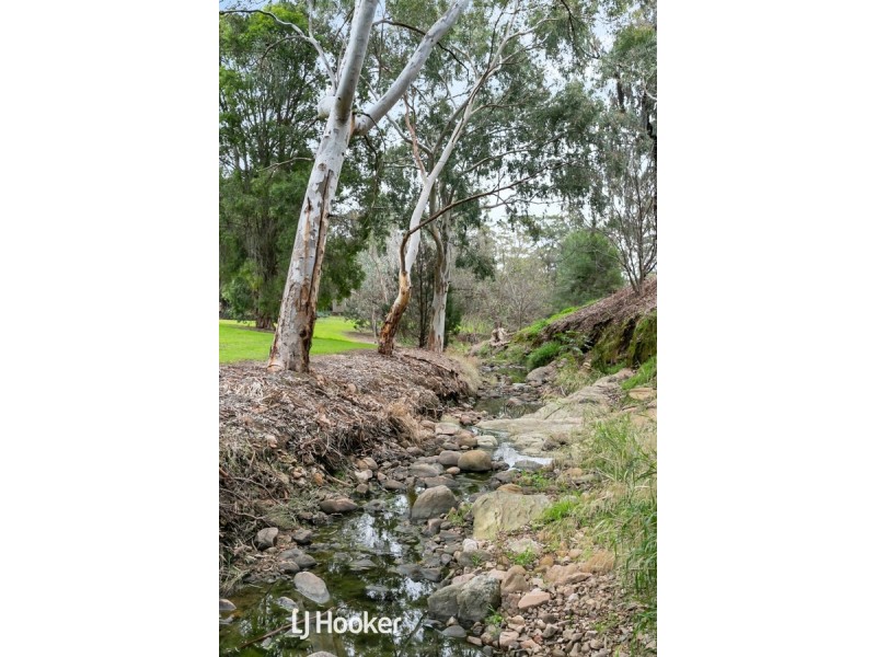 6 Donaldson Drive, Paradise SA 5075