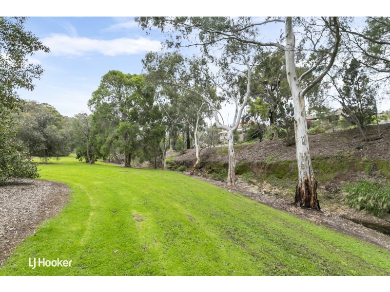 6 Donaldson Drive, Paradise SA 5075