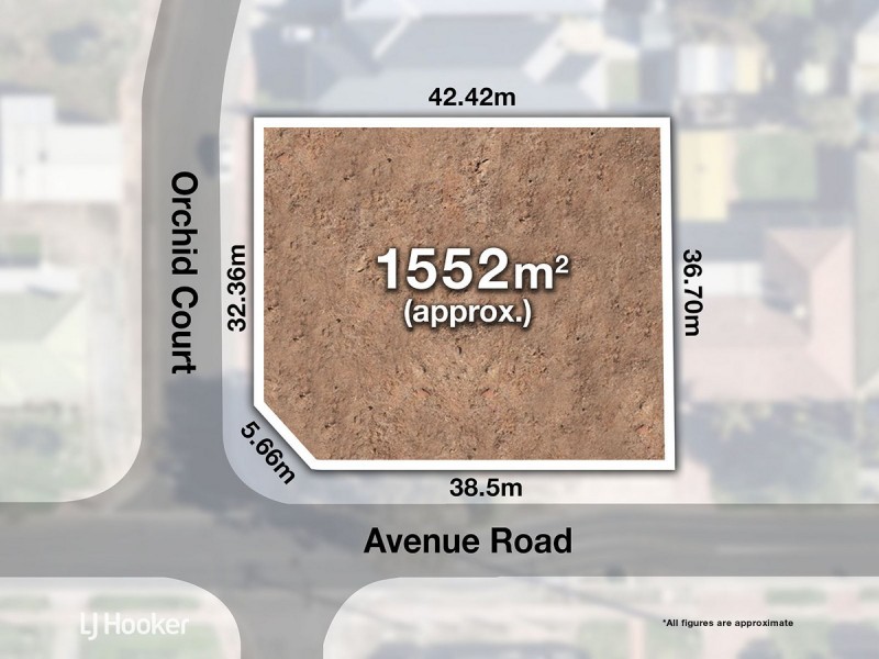 16 Avenue Road, Paradise SA 5075