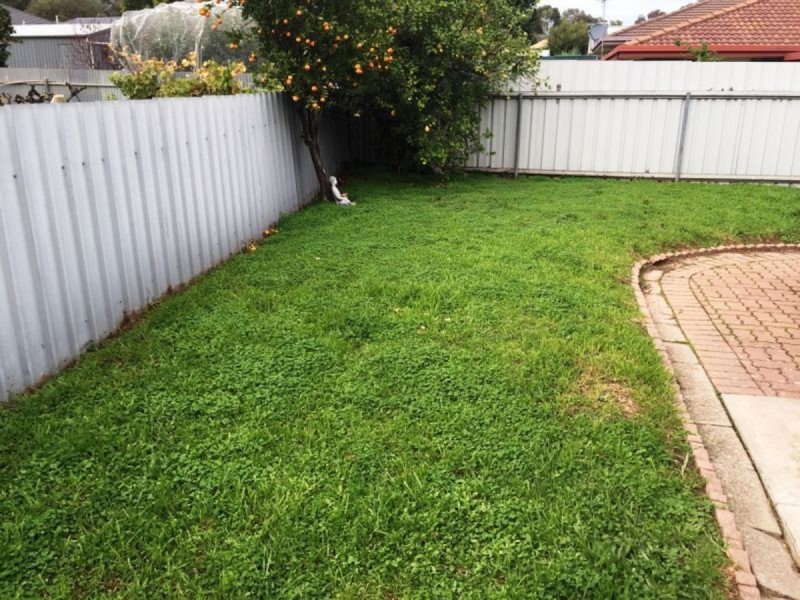 21 Stoneybrook Drive, Paradise SA 5075