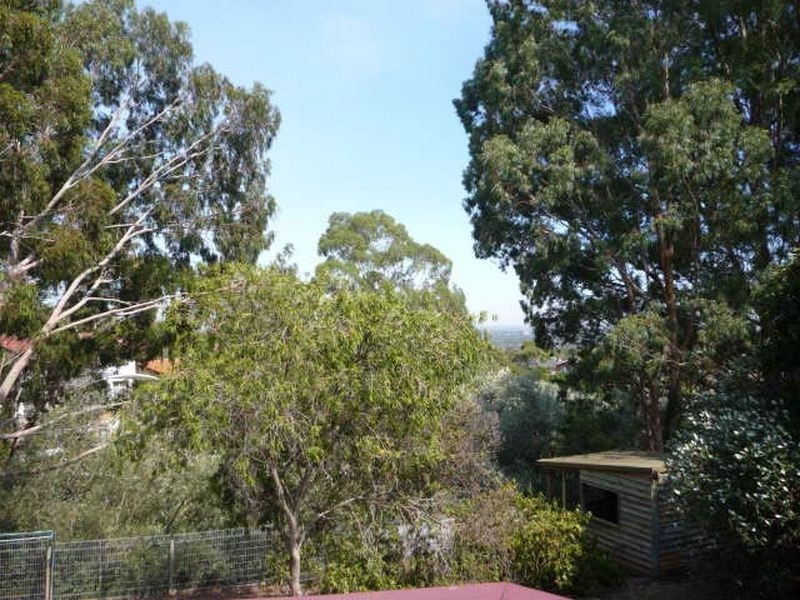 19 Wyfield Street, Wattle Park SA 5066