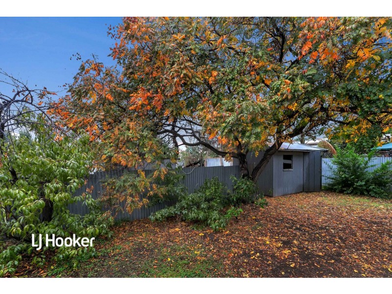 165 Devonport Terrace, Prospect SA 5082