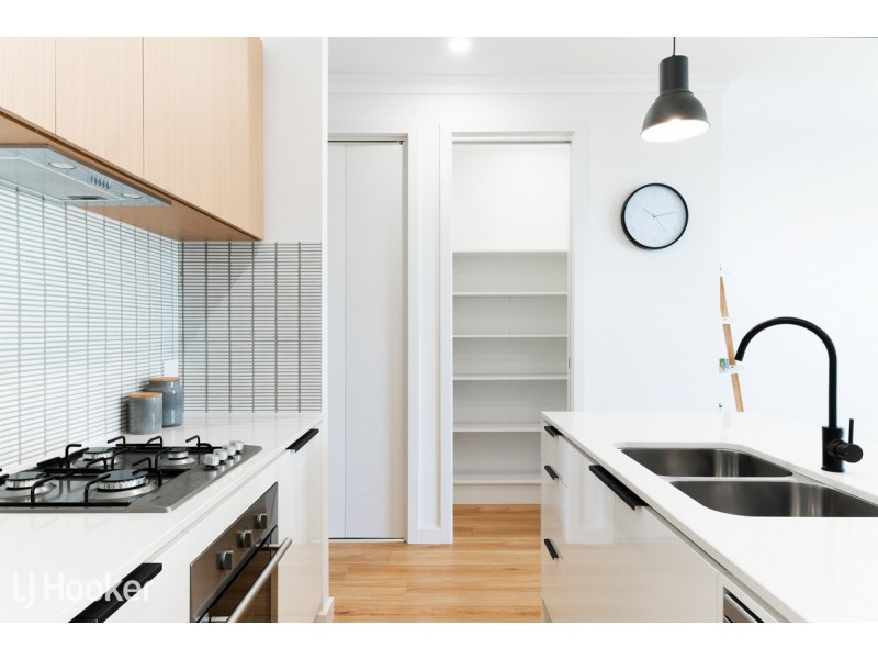 84 Hectorville Road, Hectorville SA 5073