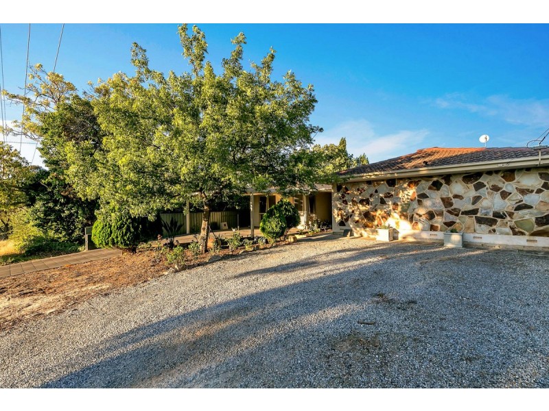 19 Coventry Drive, Athelstone SA 5076