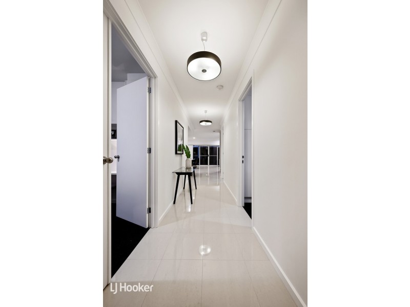 19 Maesbury Street, Kensington SA 5068