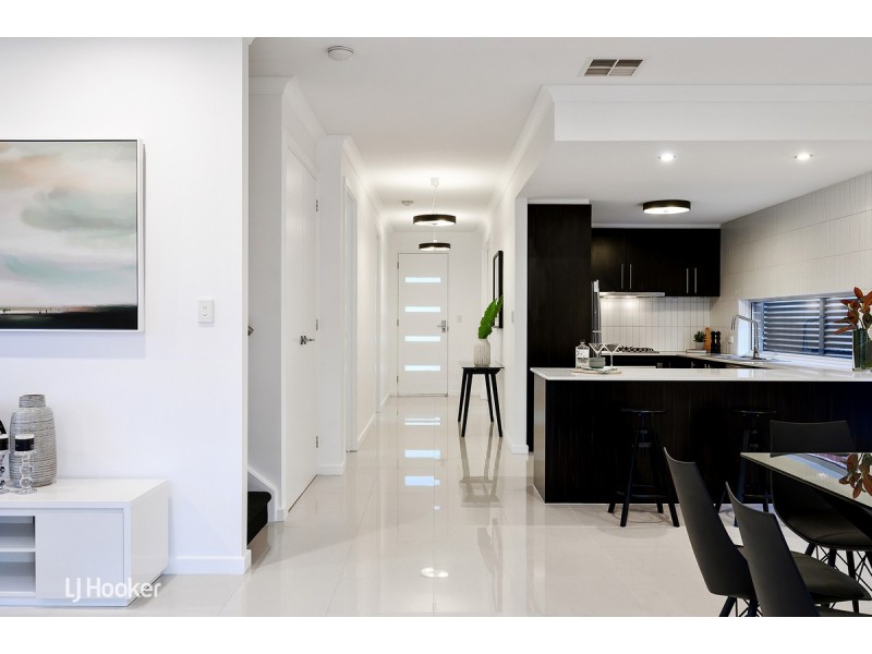 19 Maesbury Street, Kensington SA 5068