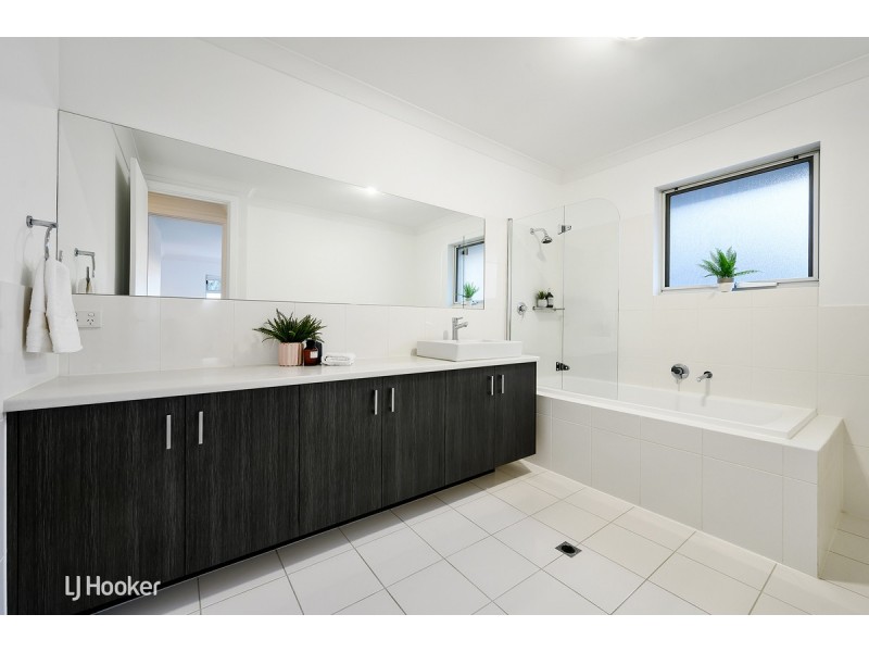 19 Maesbury Street, Kensington SA 5068