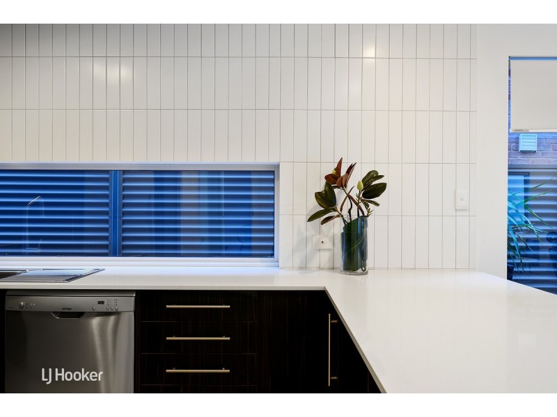 19 Maesbury Street, Kensington SA 5068