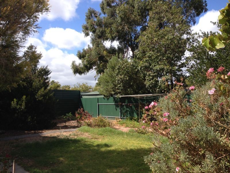 7 Clifford Street, Prospect SA 5082