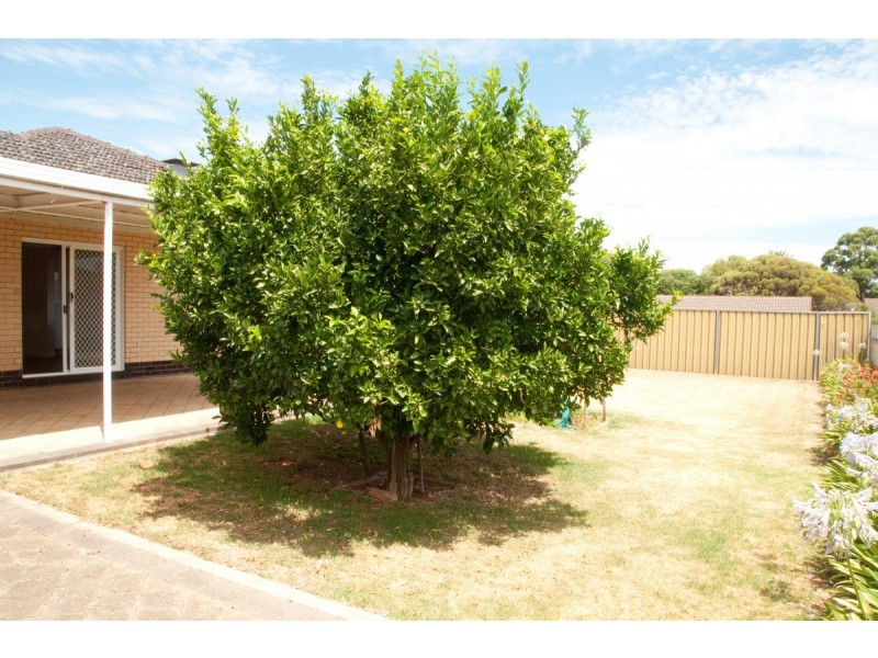 2/21a Williams Avenue, St Morris SA 5068