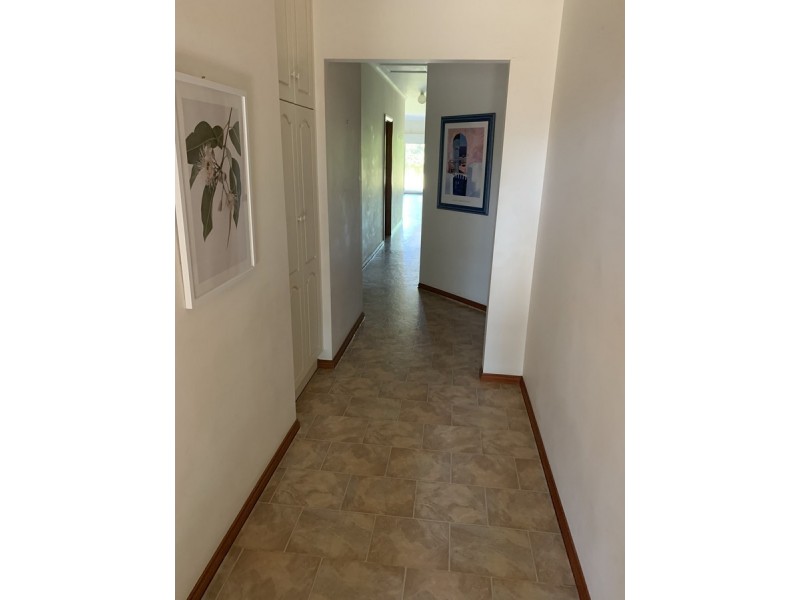 137a Ashbrook Avenue, Trinity Gardens SA 5068