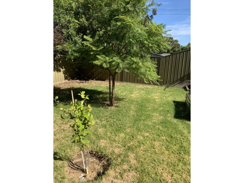 137a Ashbrook Avenue, Trinity Gardens SA 5068