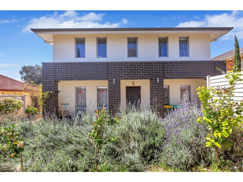 46 Wear Avenue, Marden SA 5070