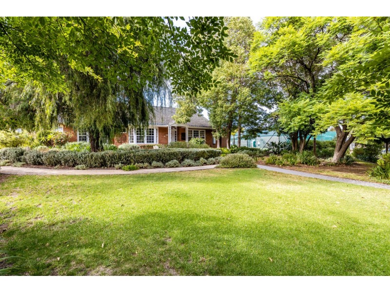 54 & 56 Greenglade Drive, Paradise SA 5075