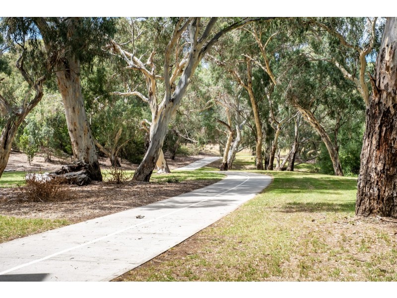 54 & 56 Greenglade Drive, Paradise SA 5075