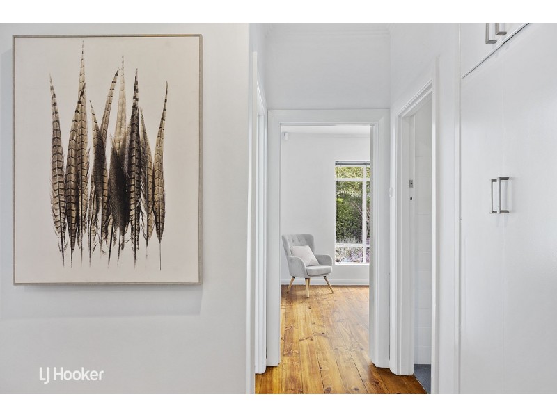 47 Richmond Road, Westbourne Park SA 5041