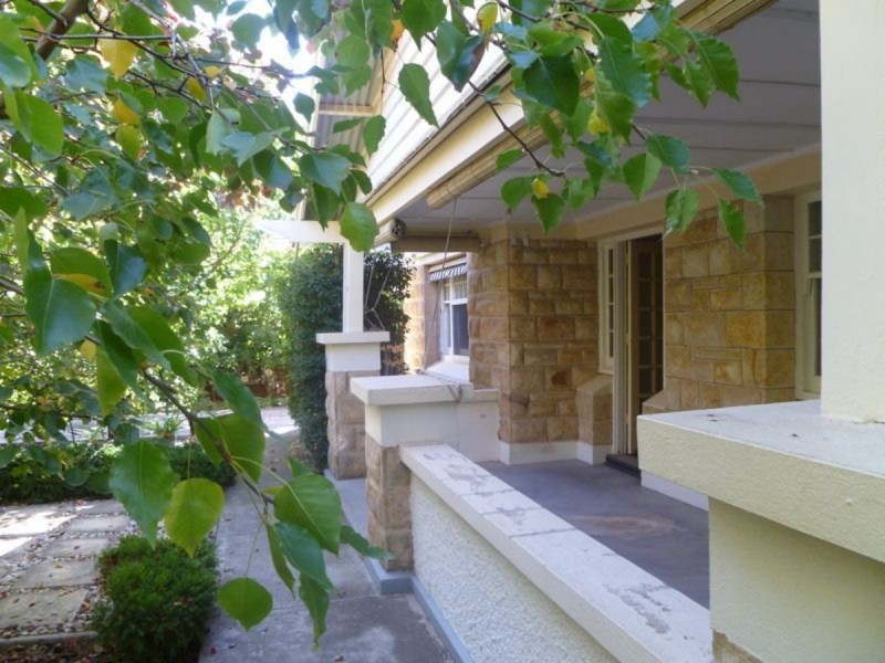 44 Amherst Avenue, Trinity Gardens SA 5068