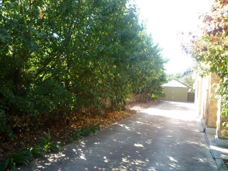 44 Amherst Avenue, Trinity Gardens SA 5068