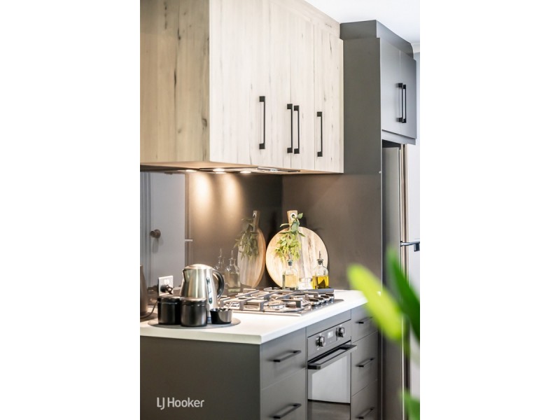 733 Lower North East Road, Paradise SA 5075