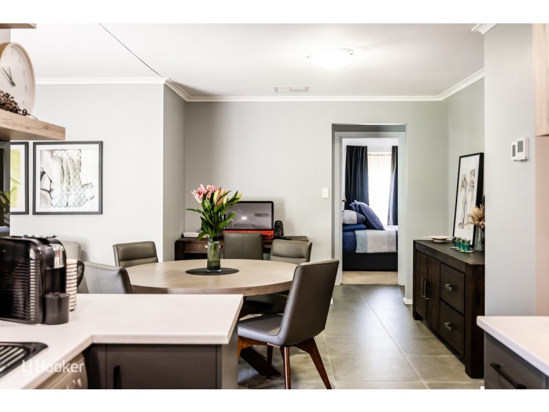 733 Lower North East Road, Paradise SA 5075