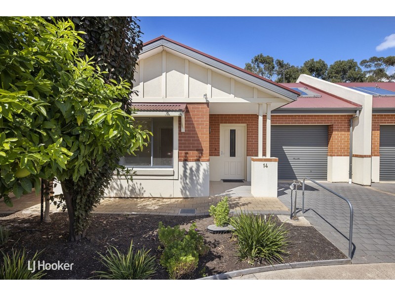 14/43 Fisher Street, Magill SA 5072