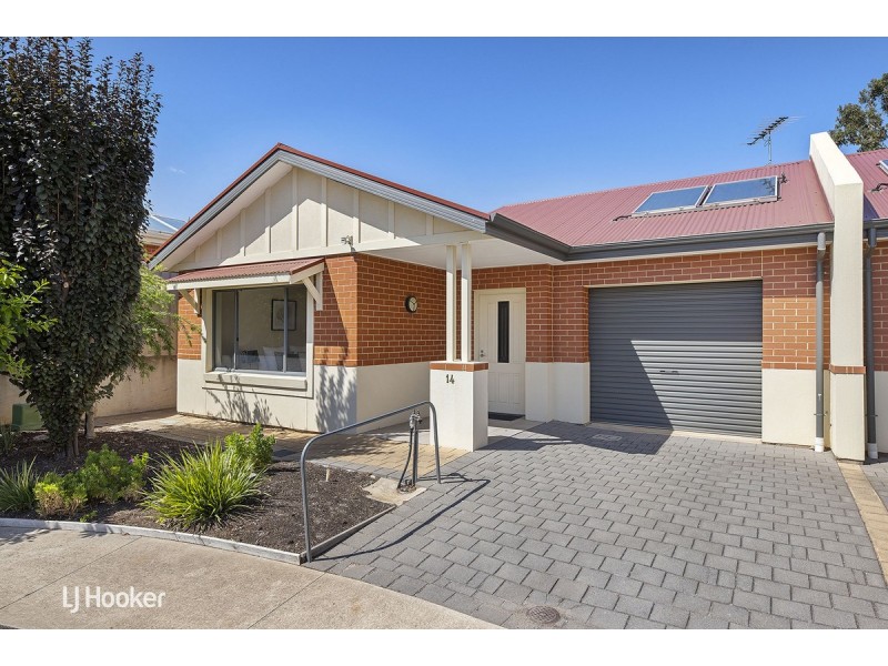 14/43 Fisher Street, Magill SA 5072