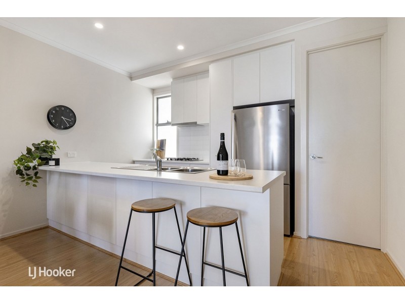 16 Tiara Street, Lightsview SA 5085
