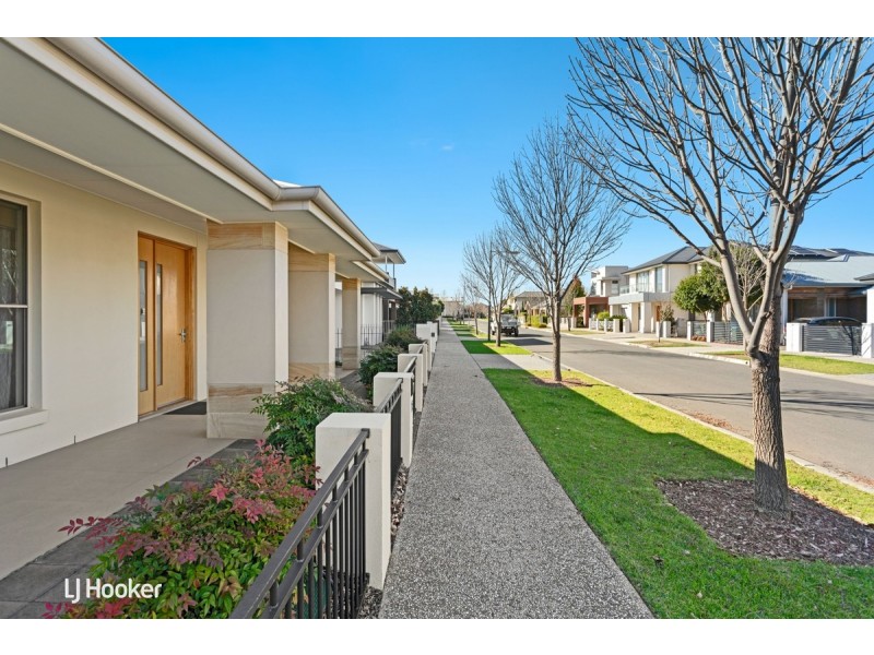 18 Rozells Avenue, Lightsview SA 5085