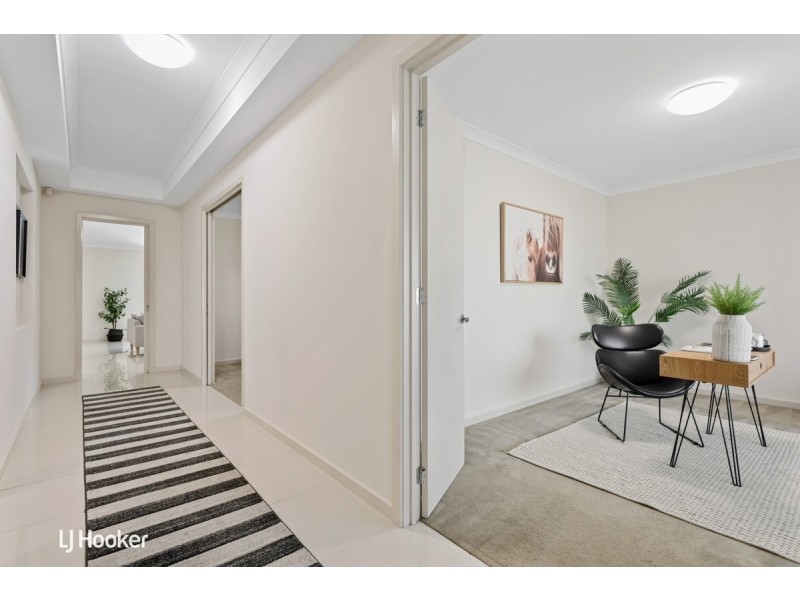 18 Rozells Avenue, Lightsview SA 5085