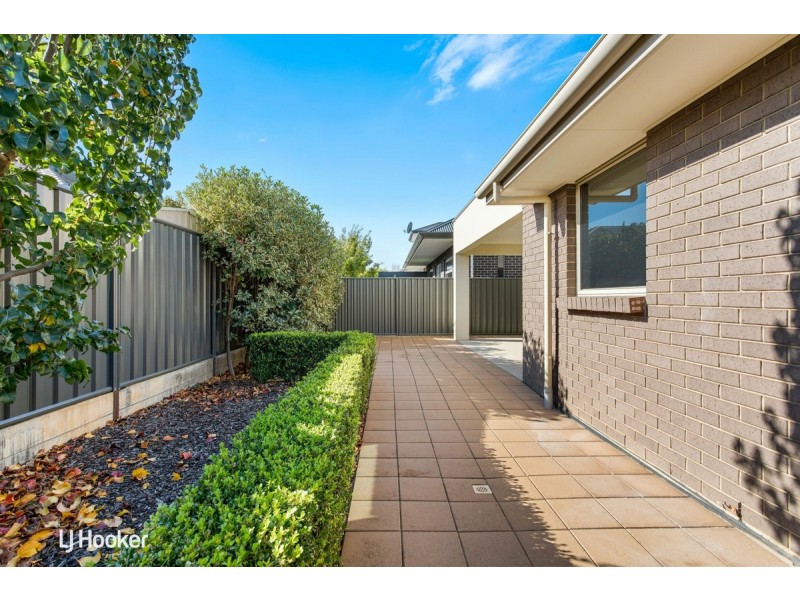 18 Rozells Avenue, Lightsview SA 5085