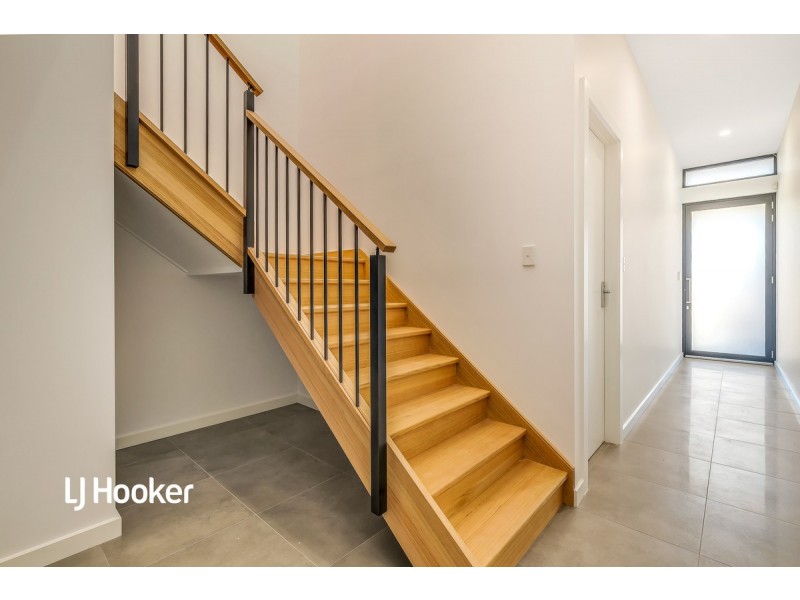 20 Amherst Avenue, Trinity Gardens SA 5068